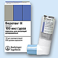 БЕРОТЕК<sup>®</sup> Н (BEROTEC N)